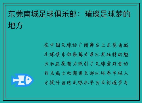 东莞南城足球俱乐部：璀璨足球梦的地方