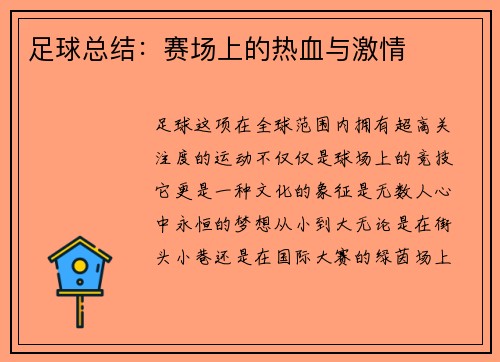 足球总结：赛场上的热血与激情