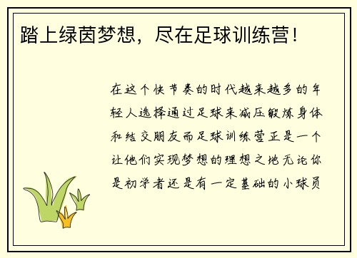 踏上绿茵梦想，尽在足球训练营！